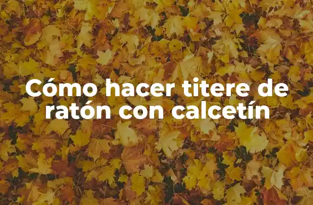 Cómo Hacer Titere de Ratón con Calcetín