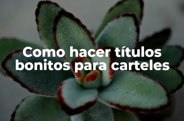 Como Hacer Títulos Bonitos para Carteles