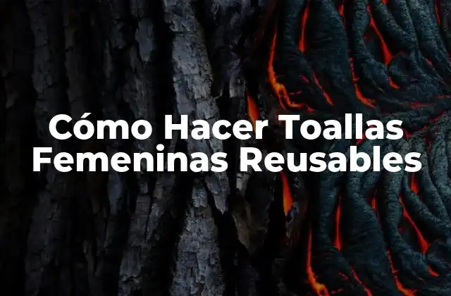 Cómo Hacer Toallas Femeninas Reusables