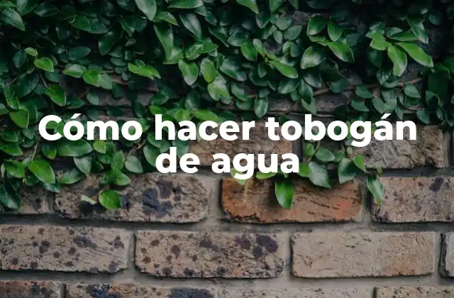 Cómo Hacer Tobogán de Agua 2 Cómo hacer tobogán de agua