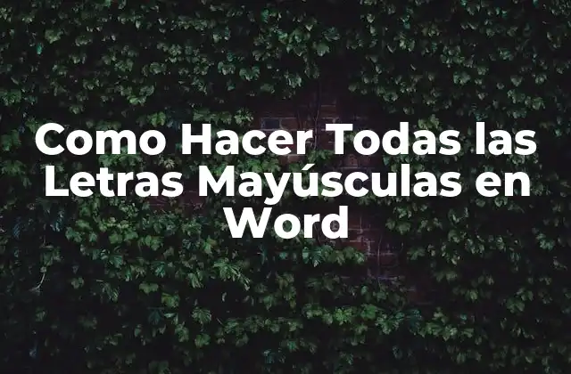 Como Hacer Todas las Letras Mayúsculas en Word