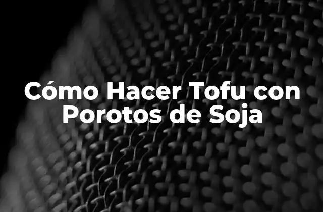 Cómo Hacer Tofu con Porotos de Soja
