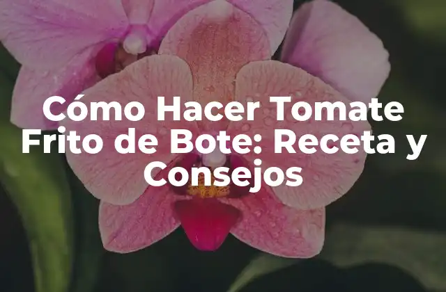 Cómo Hacer Tomate Frito de Bote: Receta y Consejos