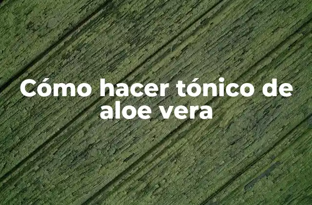 Cómo Hacer Tónico de Aloe Vera 2 ¿Qué es el tónico de aloe vera?
