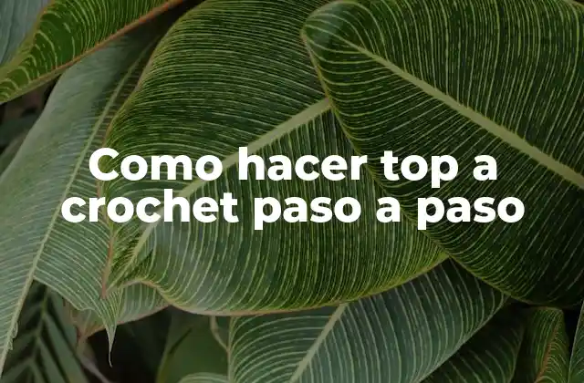Como Hacer Top a Crochet Paso a Paso