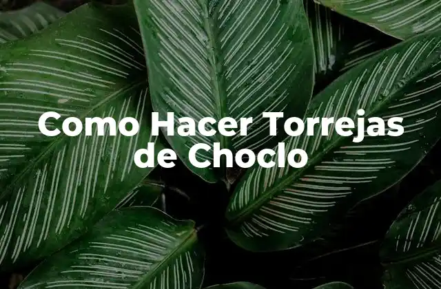 Como Hacer Torrejas de Choclo