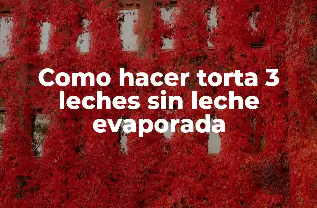 Como Hacer Torta 3 Leches sin Leche Evaporada