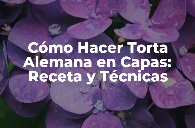 Cómo Hacer Torta Alemana en Capas: Receta y Técnicas