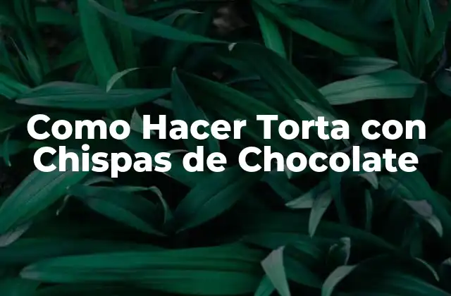 Como Hacer Torta con Chispas de Chocolate