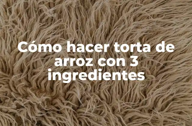 Cómo Hacer Torta de Arroz con 3 Ingredientes 2 Cómo hacer torta de arroz con 3 ingredientes
