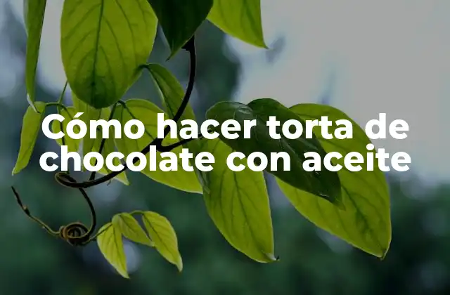 Cómo Hacer Torta de Chocolate con Aceite