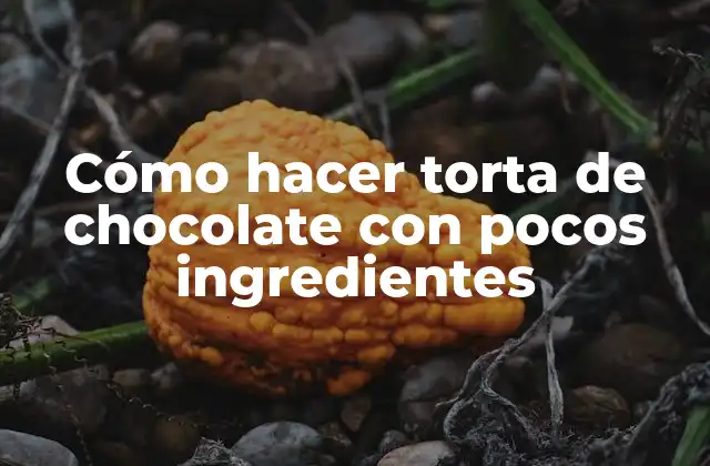 Cómo Hacer Torta de Chocolate con Pocos Ingredientes