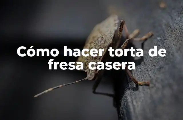 Cómo Hacer Torta de Fresa Casera