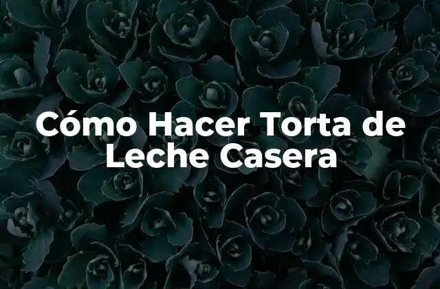 ¿Qué es una Torta de Leche Casera?