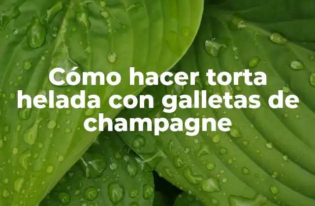 Cómo Hacer Torta Helada con Galletas de Champagne