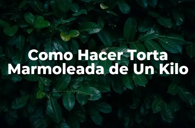 Como Hacer Torta Marmoleada de un Kilo