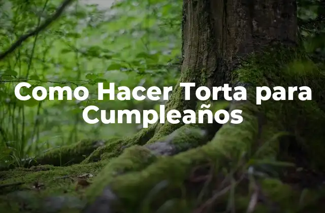 Como Hacer Torta para Cumpleaños 2 ¿Qué es una Torta para Cumpleaños y para Qué Sirve?