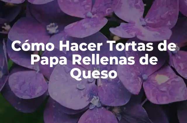 Tortas de Papa Rellenas de Queso: ¿Qué Son y Cómo se Utilizan?