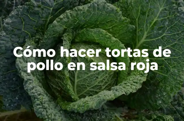 Cómo Hacer Tortas de Pollo en Salsa Roja