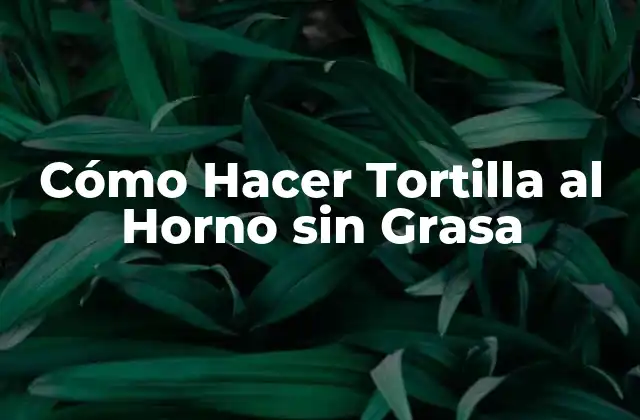 Cómo Hacer Tortilla Al Horno sin Grasa