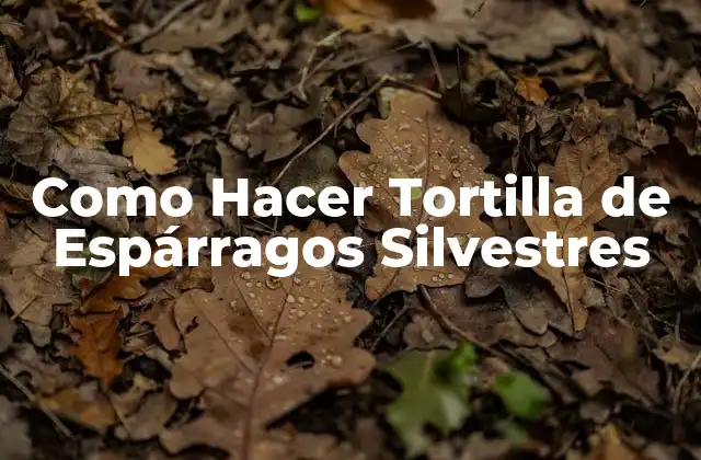 Como Hacer Tortilla de Espárragos Silvestres