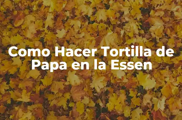 Como Hacer Tortilla de Papa en la Essen