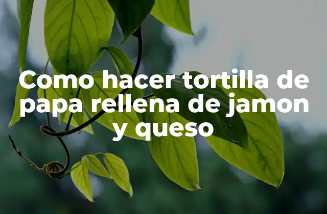 ¿Qué es una tortilla de papa rellena de jamon y queso?