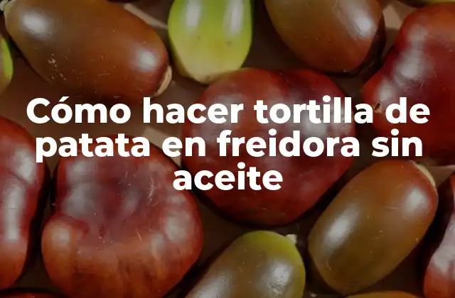 Cómo Hacer Tortilla de Patata en Freidora sin Aceite 2 Cómo hacer tortilla de patata en freidora sin aceite