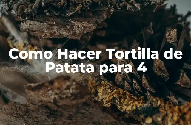 Como Hacer Tortilla de Patata para 4