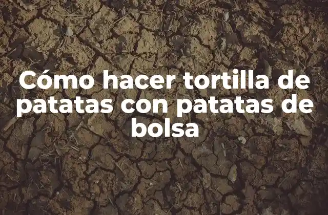 Cómo Hacer Tortilla de Patatas con Patatas de Bolsa