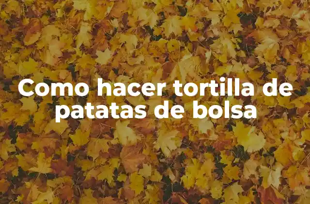 Como Hacer Tortilla de Patatas de Bolsa