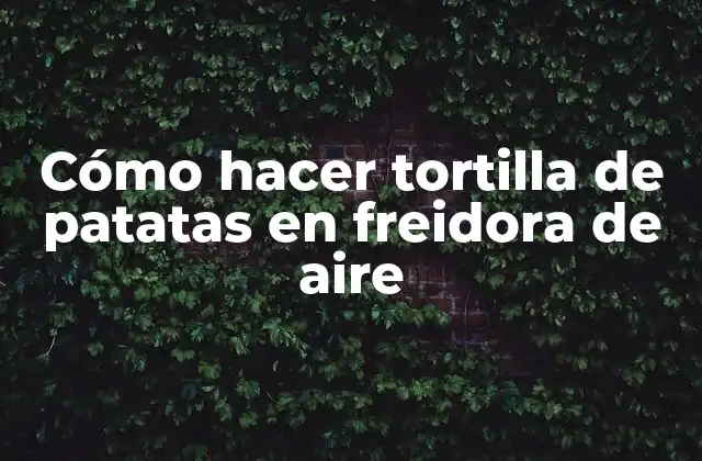 Cómo Hacer Tortilla de Patatas en Freidora de Aire