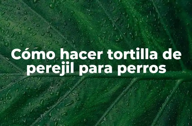 ¿Qué es la tortilla de perejil para perros y para qué sirve?