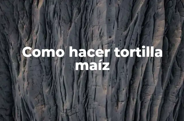 Como Hacer Tortilla Maíz