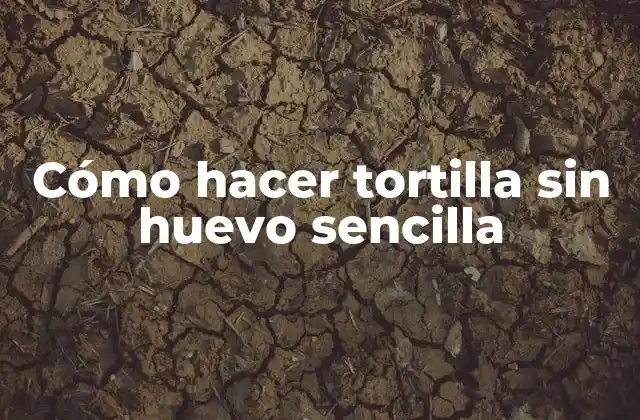 Cómo Hacer Tortilla sin Huevo Sencilla