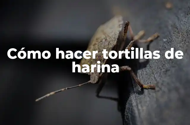Cómo Hacer Tortillas de Harina