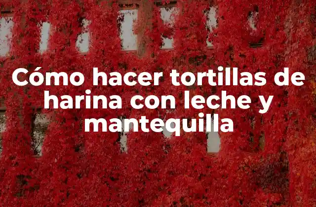 Cómo Hacer Tortillas de Harina con Leche y Mantequilla