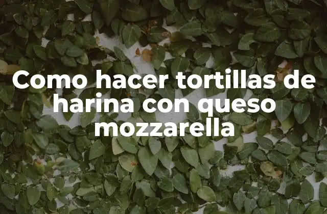 Como Hacer Tortillas de Harina con Queso Mozzarella