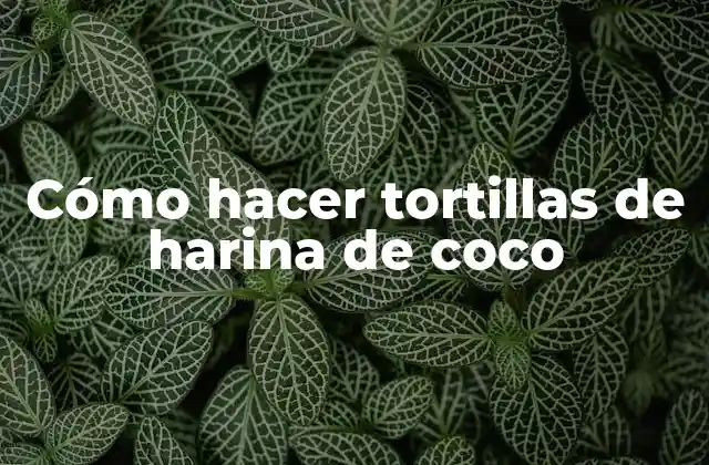 Tortillas de harina de coco: qué son y para qué sirven