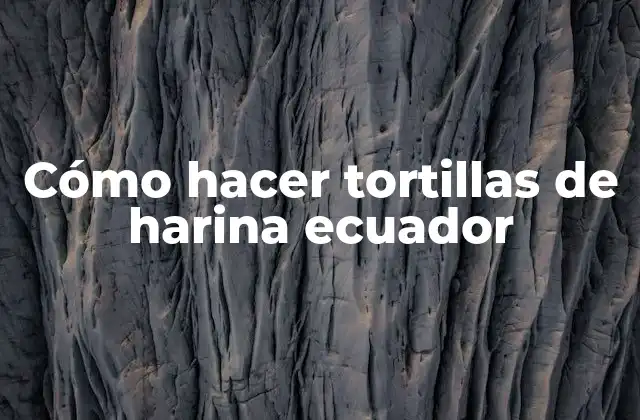 Cómo Hacer Tortillas de Harina Ecuador