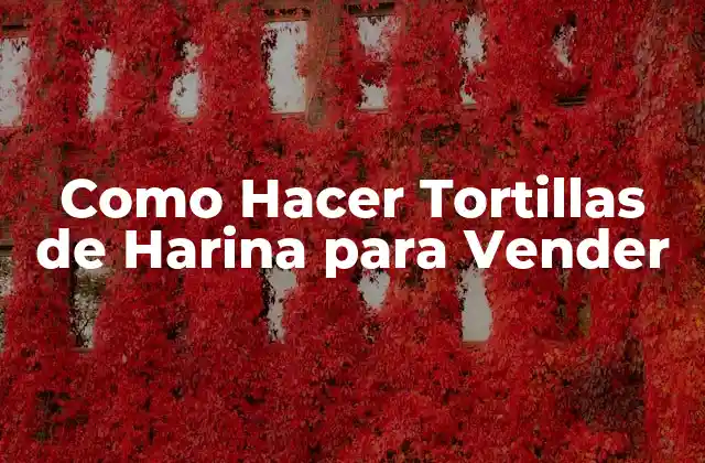 Como Hacer Tortillas de Harina para Vender