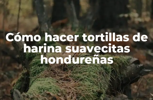 Cómo Hacer Tortillas de Harina Suavecitas Hondureñas