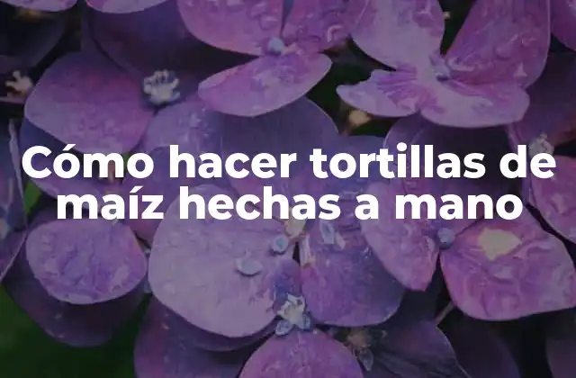 Cómo Hacer Tortillas de Maíz Hechas a Mano