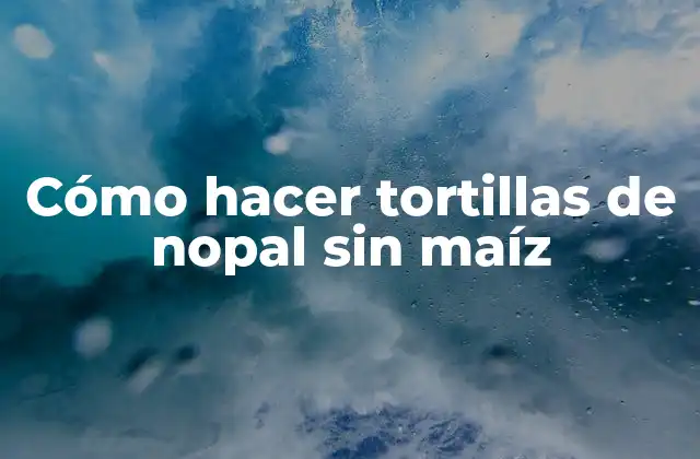 ¿Qué son tortillas de nopal sin maíz y para qué sirven?