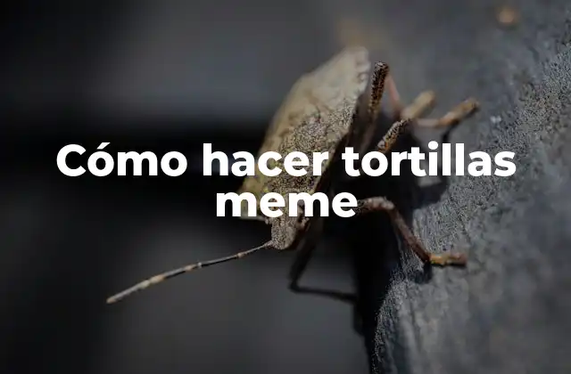 Cómo Hacer Tortillas Meme