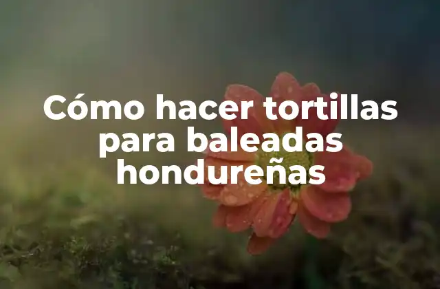Cómo Hacer Tortillas para Baleadas Hondureñas