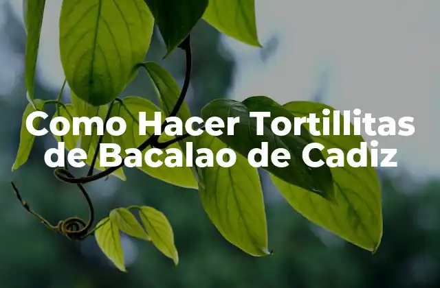 Como Hacer Tortillitas de Bacalao de Cadiz