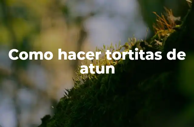 Como Hacer Tortitas de Atun