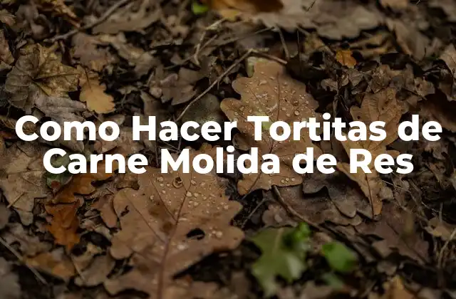 Como Hacer Tortitas de Carne Molida de Res