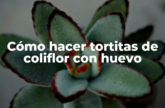 Cómo Hacer Tortitas de Coliflor con Huevo